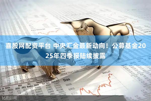 喜股网配资平台 中央汇金最新动向！公募基金2025年四季报陆续披露