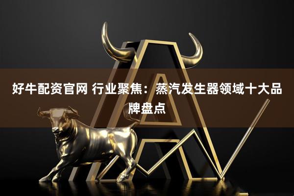 好牛配资官网 行业聚焦：蒸汽发生器领域十大品牌盘点